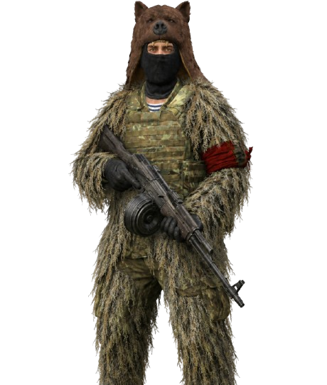 Bear faction